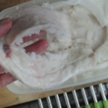 ボラの白子で 白子のカラスミ風 レシピ 作り方 By あとぶー 楽天レシピ ボラの白子で 白子のカラスミ風 レシピ 作り方 By あとぶー 楽天レシピ